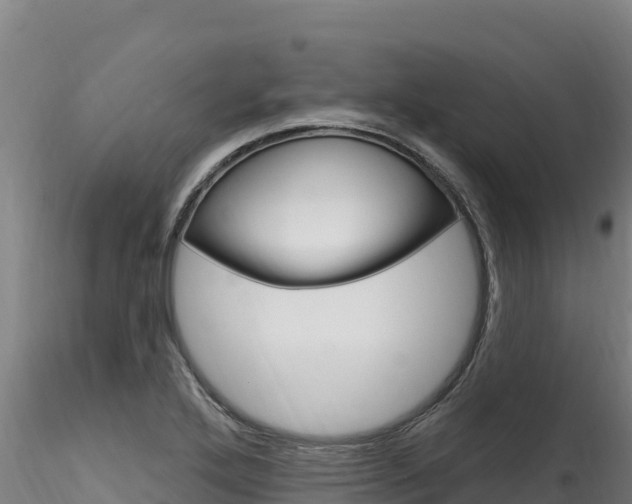 X0000116281272200911301032