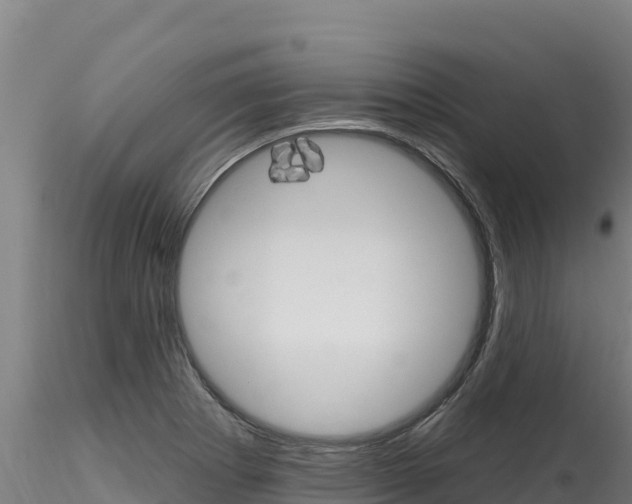 X0000116281273200911301032
