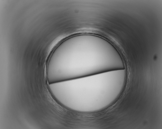 X0000116281275200911301032