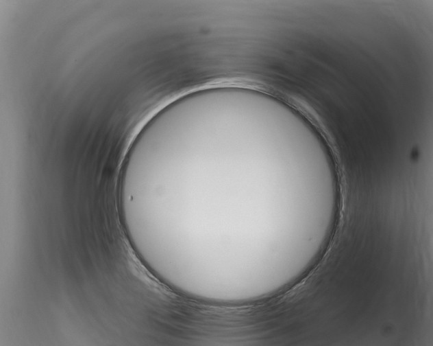X0000116281276200911301032