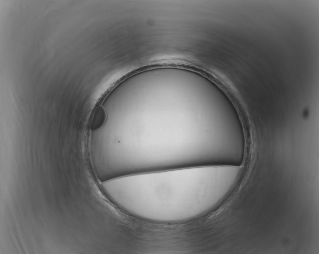 X0000116281277200911301032
