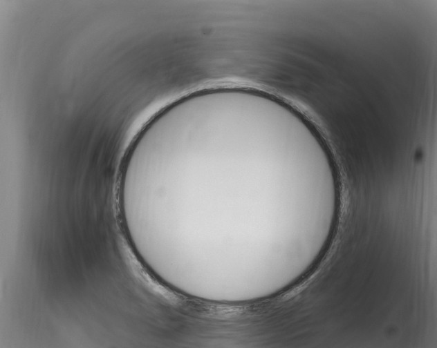 X0000116281278200911301032