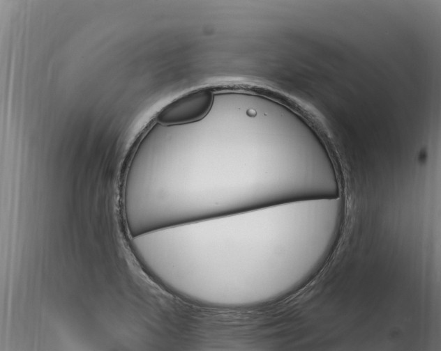 X0000116281279200911301032
