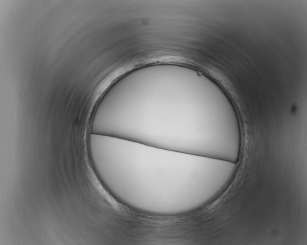 X0000116281282200911301032