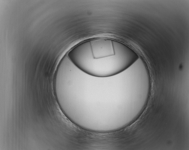 X0000116281284200911301031