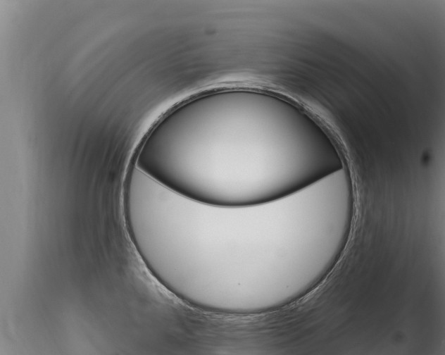 X0000116281288200911301031