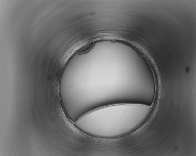 X0000116281289200911301031