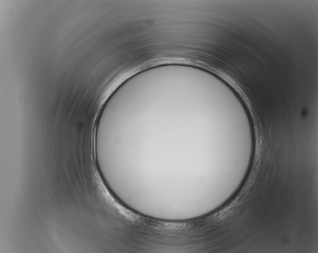 X0000116281290200911301031