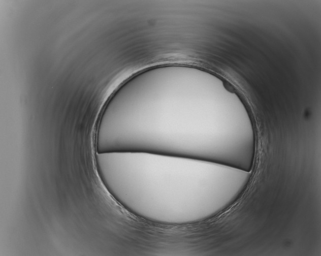X0000116281291200911301031