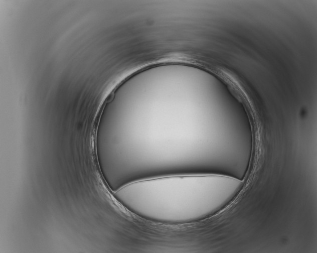 X0000116281292200911301031