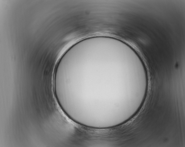 X0000116281294200911301031