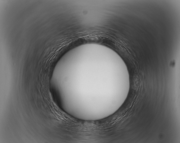X0000116281297200911301030