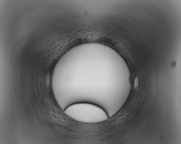 X0000116281299200911301031