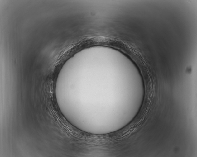 X0000116281301200911301031