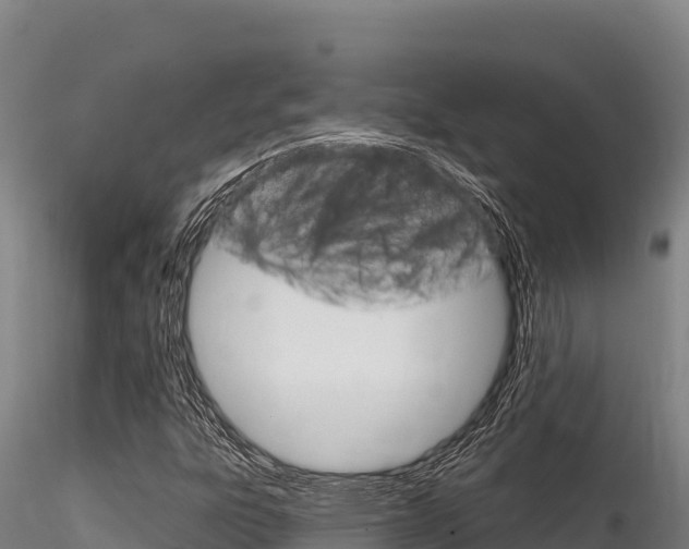 X0000116281303200911301031