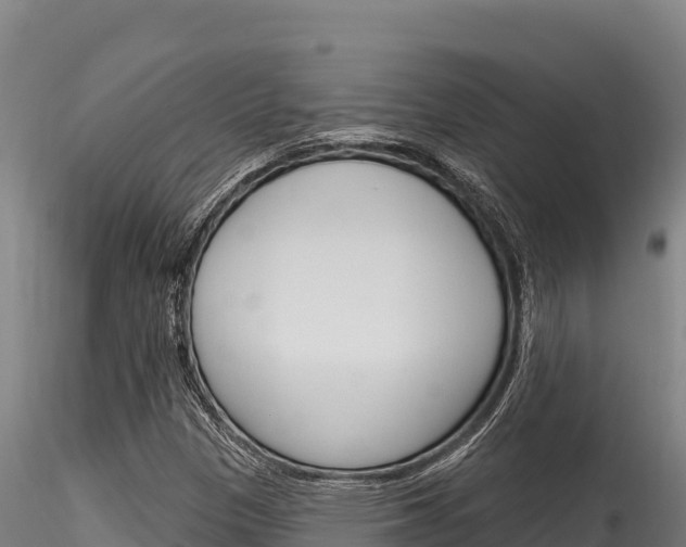 X0000116281305200911301031