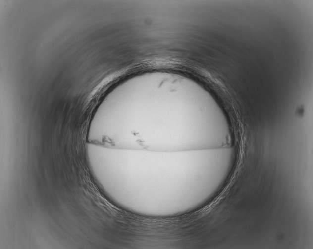 X0000116281306200911301031