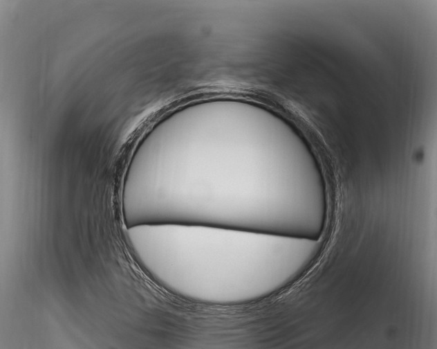 X0000116281307200911301031
