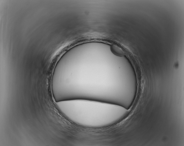 X0000116281309200911301031