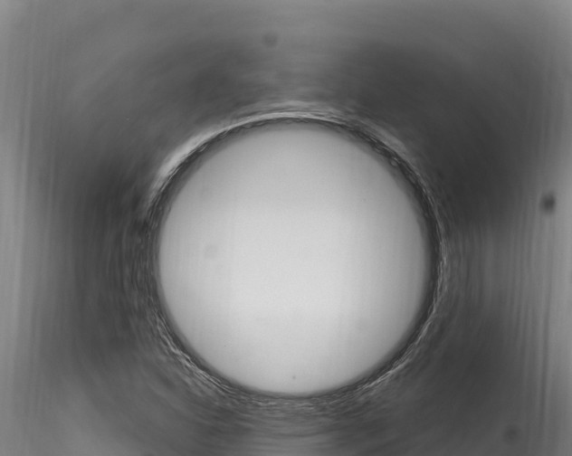X0000116281310200911301031