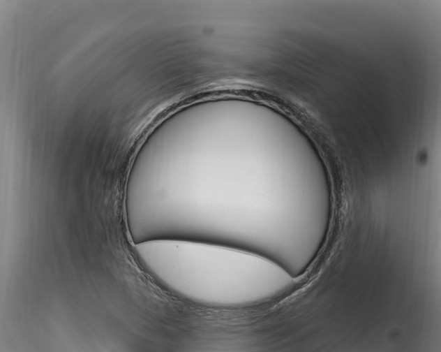 X0000116281313200911301031