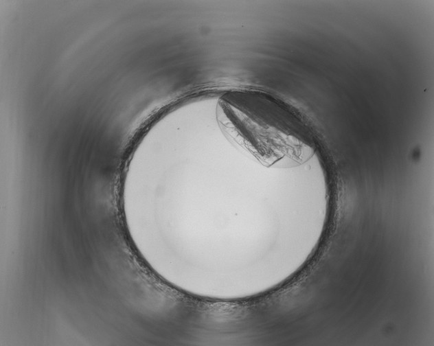 X0000116281314200911301031