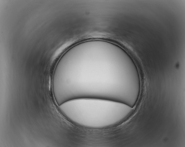 X0000116281317200911301031