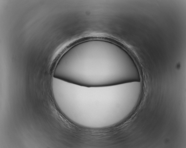 X0000116281319200911301031