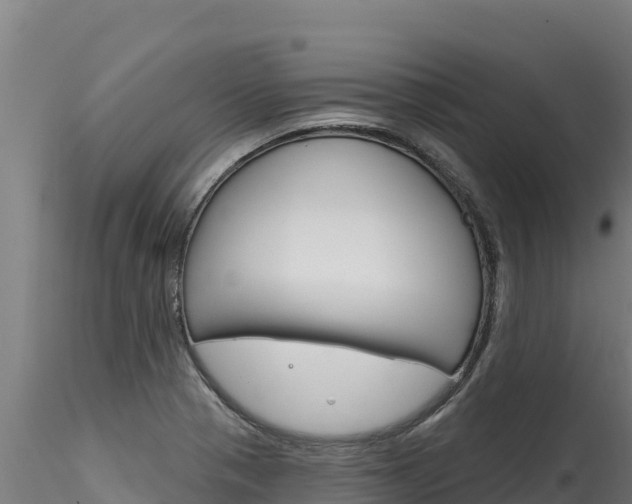 X0000116281321200911301031