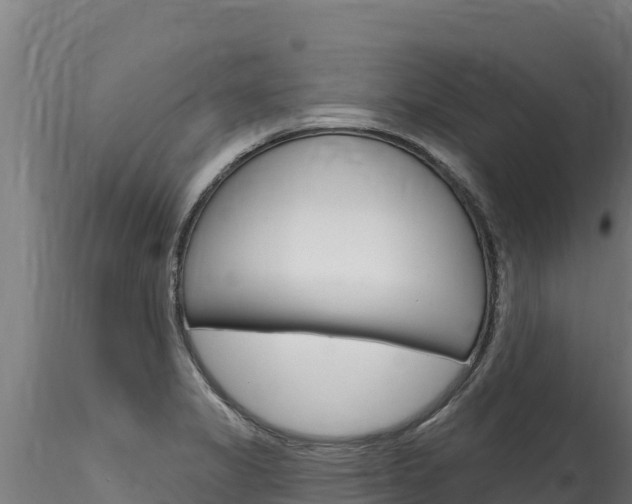X0000116281325200911301031