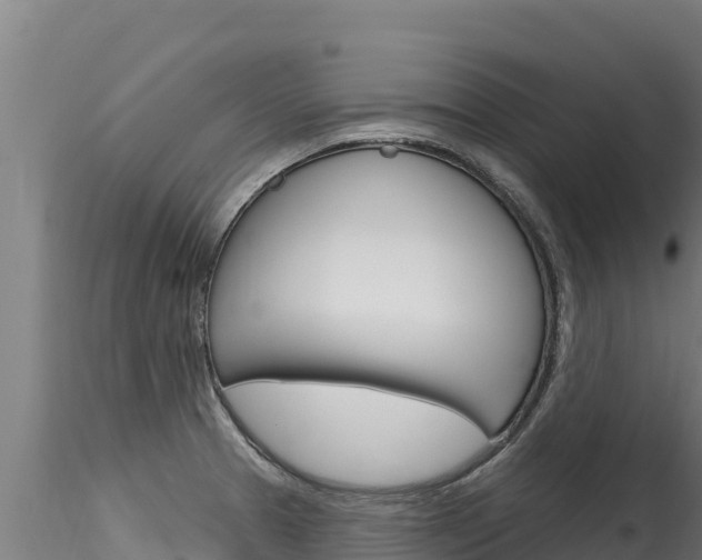 X0000116281329200911301031