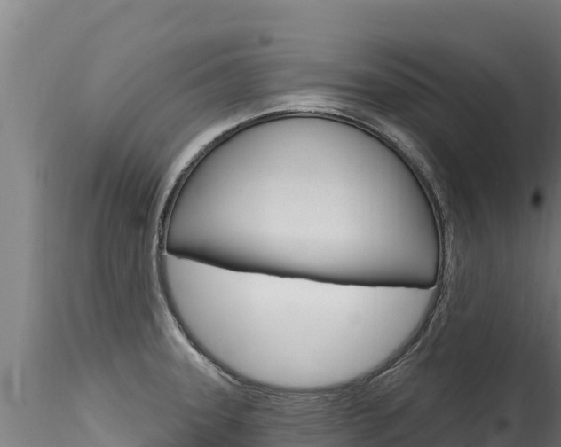 X0000116281331200911301031