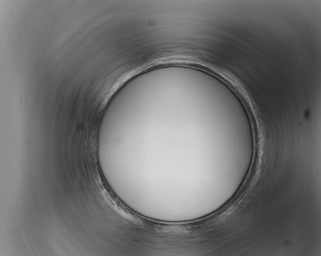 X0000116281337200911301031