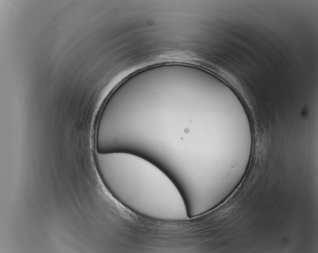 X0000116281339200911301031