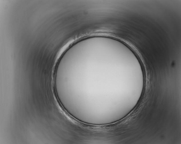 X0000116281341200911301031