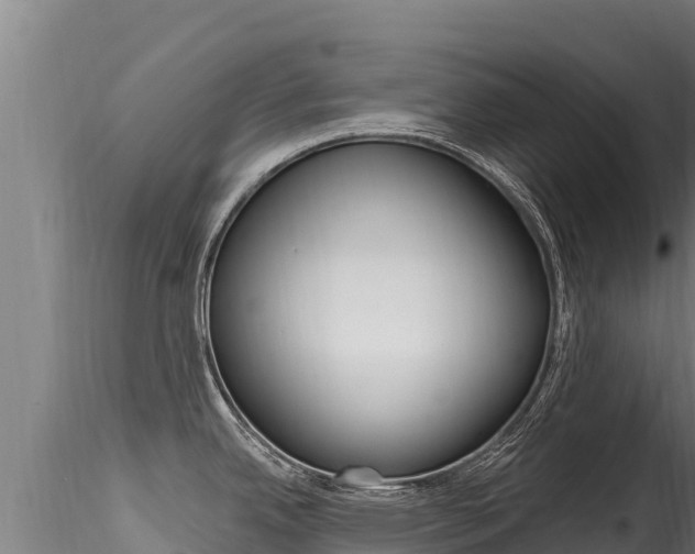 X0000116281342200911301031