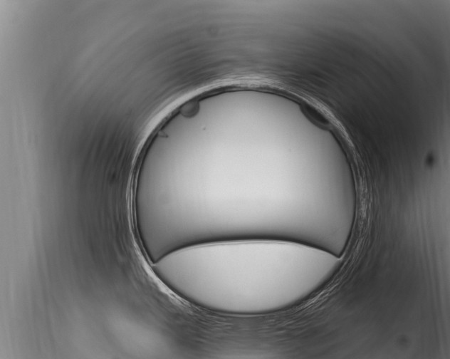 X0000116281343200911301031