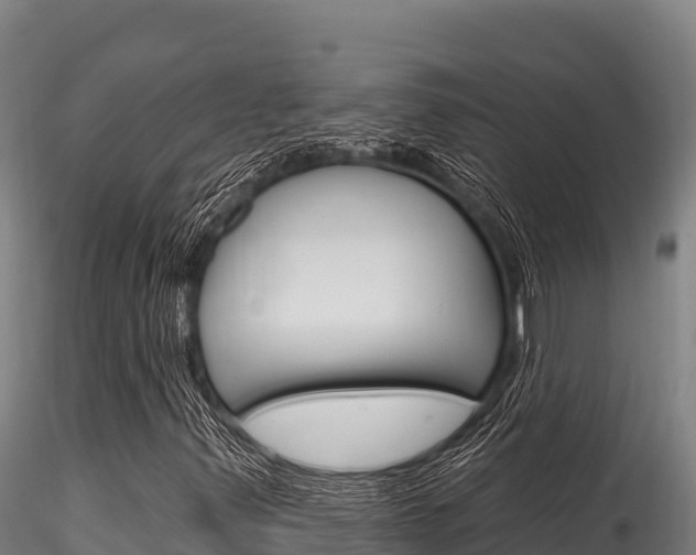 X0000116281347200911301030