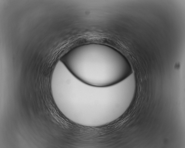 X0000116281348200911301030