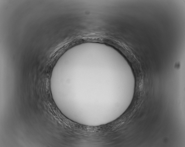 X0000116281350200911301030