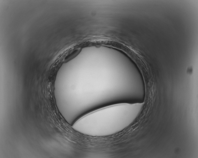 X0000116281351200911301030