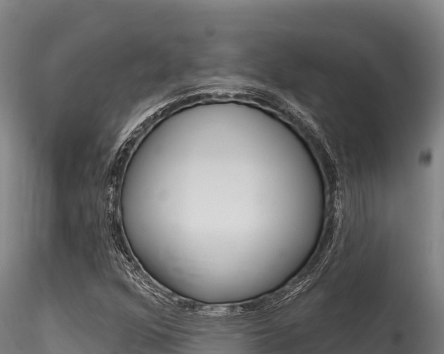 X0000116281352200911301030