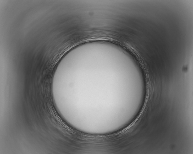 X0000116281353200911301030