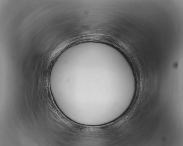 X0000116281354200911301030