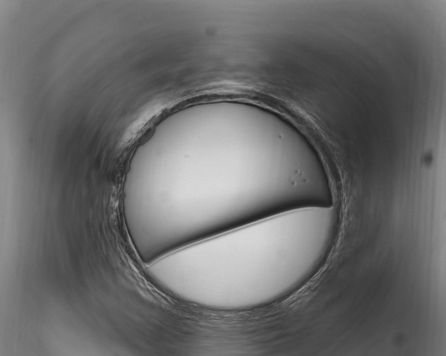 X0000116281355200911301030