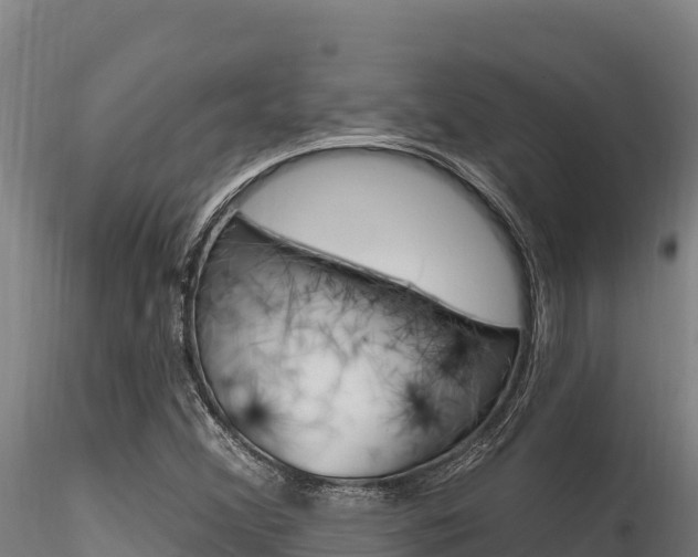 X0000116281356200911301030