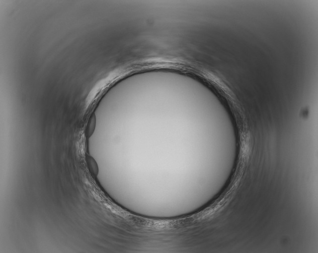 X0000116281357200911301030