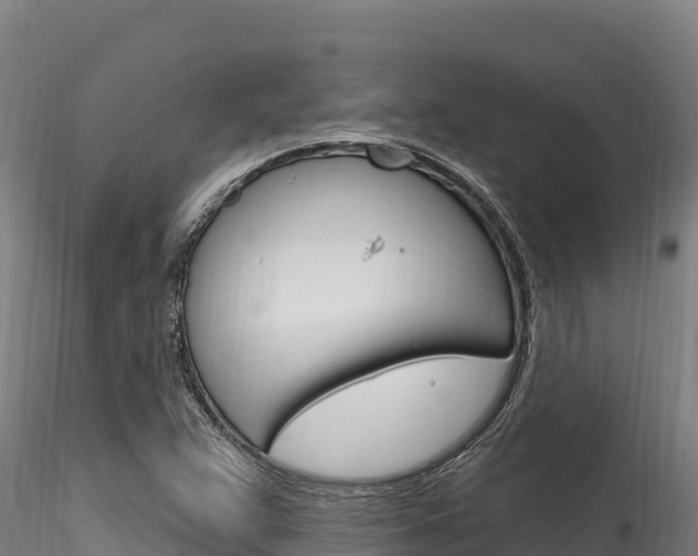 X0000116281359200911301030