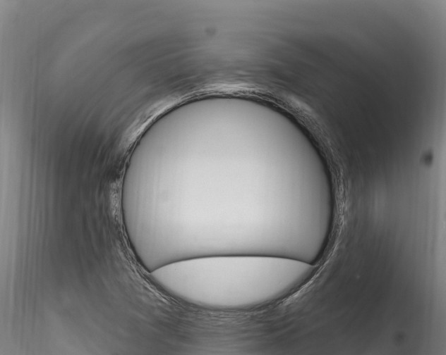 X0000116281361200911301030