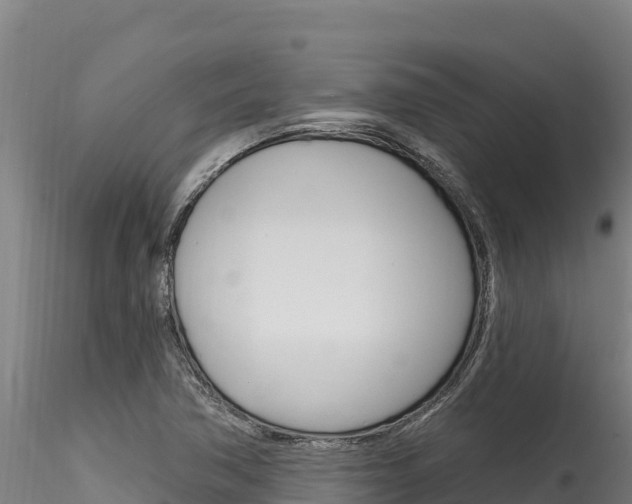 X0000116281362200911301030